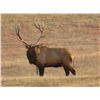 Image 9 : 2016 NEBRASKA GAME AND  PARKS COMMISSION ELK TAG