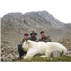 Image 4 : 8-DAY MOUNTAIN GOAT HUNT FOR 1 HUNTER