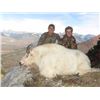 Image 9 : 8-DAY MOUNTAIN GOAT HUNT FOR 1 HUNTER