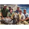 Image 10 : ARIZONA DESERT BIGHORN SHEEP PERMIT