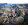 Image 9 : ARIZONA DESERT BIGHORN SHEEP PERMIT