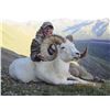 Image 10 : 14-DAY DALL’S SHEEP AND GRIZZLY/BLACK BEAR AND WOLF HUNT FOR 1 WOUNDED WARRIOR OUTDOORS MEMBER & THE