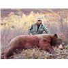 Image 7 : 14-DAY DALL’S SHEEP AND GRIZZLY/BLACK BEAR AND WOLF HUNT FOR 1 WOUNDED WARRIOR OUTDOORS MEMBER & THE