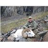 Image 4 : 12-DAY DALL’S SHEEP HUNT FOR 1 HUNTER