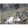 Image 4 : 12-DAY DALL’S SHEEP HUNT FOR 1 HUNTER