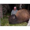 8-DAY BISON HUNT IN BRITISH COLUMBIA WITH SIKANNI RIVER OUTFITTERS