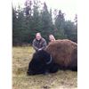 Image 8 : 8-DAY BISON HUNT IN BRITISH COLUMBIA WITH SIKANNI RIVER OUTFITTERS