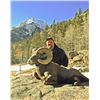 Image 2 : COLORADO ROCKY MOUNTAIN BIGHORN SHEEP LICENSE