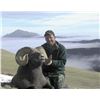 Image 8 : COLORADO ROCKY MOUNTAIN BIGHORN SHEEP LICENSE