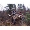 10-DAY CANADIAN MOOSE HUNT IN BRITISH COLUMBIA FOR 1 HUNTER