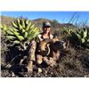 Image 8 : 10-DAY DESERT SHEEP HUNT IN CUATROCIENGEGAS, MEXICO FOR 1 HUNTER AND 2 NON-HUNTERS