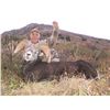 Image 8 : 14-DAY STONE’S SHEEP HUNT FOR 1 HUNTER IN TOAD RIVER, BRITISH COLUMBIA