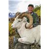Image 3 : ALASKA CHUGACH DALL’S SHEEP PERMIT