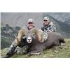 Image 8 : NEW MEXICO ROCKY MOUNTAIN BIGHORN SHEEP PERMIT