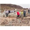 FRATERNITY OF THE DESERT BIGHORN FAMILY WILDLIFE CONSERVATION EXPERIENCE