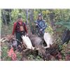 Image 13 : 11-DAY YUKON MOOSE HUNT FOR 1 SOLDIER FROM THE WWO
