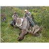 Image 14 : 11-DAY YUKON MOOSE HUNT FOR 1 SOLDIER FROM THE WWO