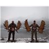 Image 16 : 11-DAY YUKON MOOSE HUNT FOR 1 SOLDIER FROM THE WWO