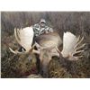 Image 18 : 11-DAY YUKON MOOSE HUNT FOR 1 SOLDIER FROM THE WWO