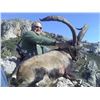 Image 2 : $8,000 CREDIT TOWARDS TROPHY FEES FOR 2 HUNTERS ON A TAILOR MADE HUNT  IN SPAIN FOR A MINIUMUM OF 2 