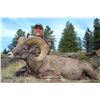 Image 1 : BRITISH COLUMBIA SPECIAL MOUNTAIN SHEEP PERMIT