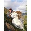 Image 8 : 12-DAY DALL’S SHEEP/WOLF/WOLVERINE HUNT IN THE NORTHWEST TERRITORIES FOR 1 HUNTER & 1 NON-HUNTER