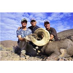 STATE OF NEVADA NELSON DESERT BIGHORN SHEEP TAG