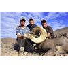 STATE OF NEVADA NELSON DESERT BIGHORN SHEEP TAG