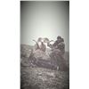 Image 2 : 9-DAY HUME ARGALI SHEEP HUNT IN KYRGYZSTAN FOR 1 HUNTER