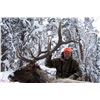 Image 25 : 2016 WYOMING GAME & FISH COMMISSIONER’S BULL ELK TAG PAIRED WITH A 7-DAY HUNT FOR 1 HUNTER - TRAILS 