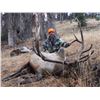 Image 2 : 2016 WYOMING GAME & FISH COMMISSIONER’S BULL ELK TAG PAIRED WITH A 7-DAY HUNT FOR 1 HUNTER - TRAILS 