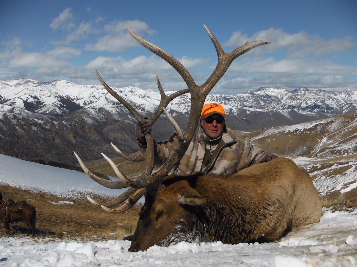 2016 WYOMING GAME & FISH COMMISSIONER’S BULL ELK TAG PAIRED WITH A 7