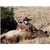 Image 8 : 2016 WYOMING GAME & FISH COMMISSIONER’S BULL ELK TAG PAIRED WITH A 7-DAY HUNT FOR 1 HUNTER - TRAILS 