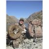 Image 8 : IDAHO BIGHORN SHEEP PERMIT