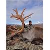 10-DAY MOOSE/WOLF/WOLVERINE & BLACK BEAR HUNT FOR 1 HUNTER IN THE YUKON