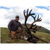 Image 2 : 10-DAY MOOSE/WOLF/WOLVERINE & BLACK BEAR HUNT FOR 1 HUNTER IN THE YUKON