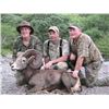Image 17 : CARMEN ISLAND,  MEXICO,  DESERT BIGHORN SHEEP PERMIT