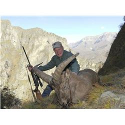 7-DAY MID-CAUCASIAN TUR HUNT FOR 1 HUNTER IN RUSSIA