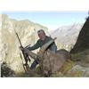 Image 1 : 7-DAY MID-CAUCASIAN TUR HUNT FOR 1 HUNTER IN RUSSIA