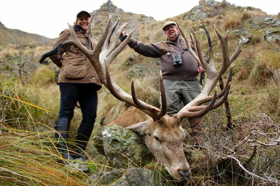 5-Day Red Stag Hunt for Two Hunters in New Zealand - Includes Trophy ...