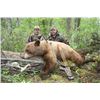 Image 1 : Alberta – 6 Day – Baited Black Bear and Wolf Hunt for One Hunter