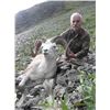 Image 1 : NWT – 12 Day - Dall Sheep, Wolf & Wolverine Hunt for One Hunter