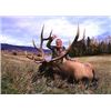 Image 1 : British Columbia – 7 Day- Rocky Mountain Elk Hunt One Hunter