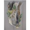Image 1 : Michigan - Squirrel Taxidermy Mount