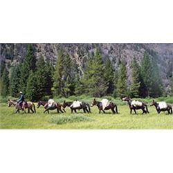 Wyoming – 5 Day – Summer Pack Trip for Two Adventurers