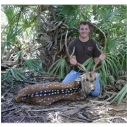 Florida – 2 Day – Axis Deer Hunt for One Hunter