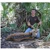 Image 1 : Florida – 2 Day – Axis Deer Hunt for One Hunter