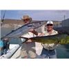 Image 1 : FN-3 6 DAY IXTAPA MEXICO SPORT FISHING TRIP FOR 2 ANGLERS