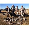 Image 2 : FN-14 3 DAY SASKATCHEWAN WATERFOWL HUNT FOR 2 HUNTERS