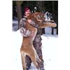 Image 1 : SN-7 6 DAY IDAHO MOUNTAIN LION HUNT